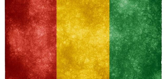 ما عاصمة غينيا